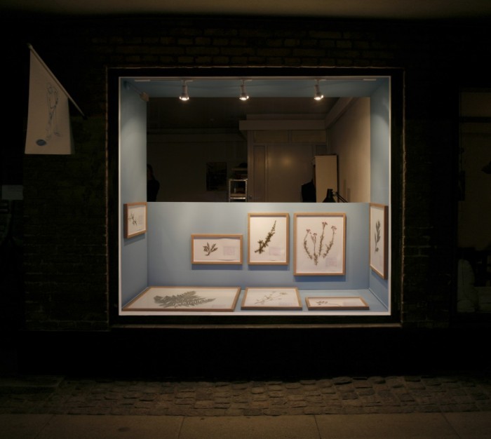 Herbarium_jpg